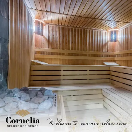 Sunrise View With Free In Cornelia Deluxe Residence, Free Parking Μπάνσκο
